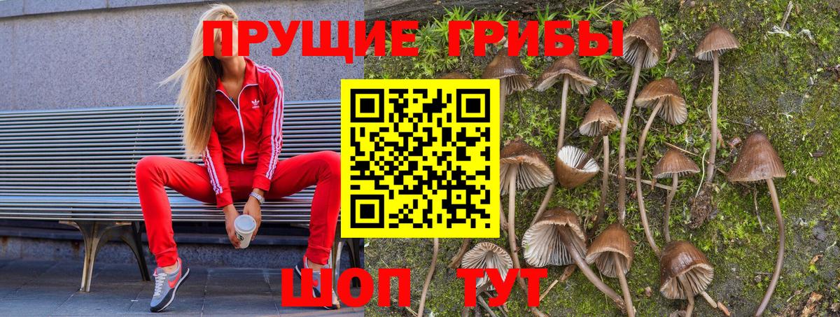 Псилоцибиновые грибы прущие грибы Воскресенск