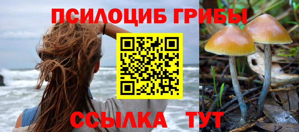 Воскресенск  Псилоцибиновые грибы Psilocybe  где продают наркотики  Вход с VPN 